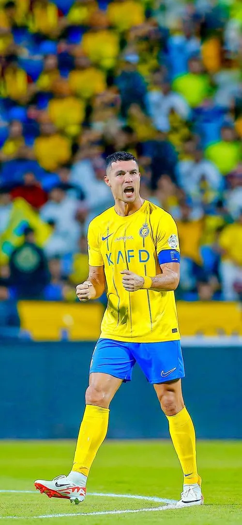 13 Hình Ronaldo đứng trên cỏ nhìn khán đài, áo vàng xanh rõ nét, hợp hình nền điện thoại