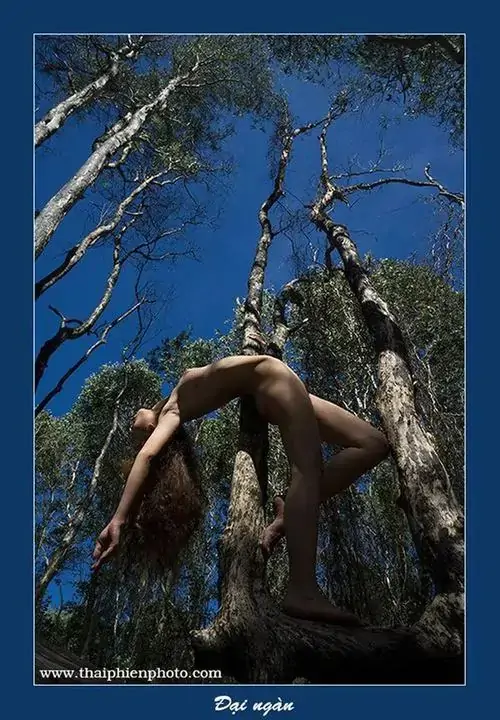 5 Khung hình thiếu nữ vươn người trên thân cây giữa bầu trời xanh sâu, dáng lưng cong và hai tay mở rộng tạo nhịp thị giác mạnh, ảnh khỏa thân nghệ thuật hòa chủ thể với thiên nhiên để gợi cảm giác tự do nguyên bản