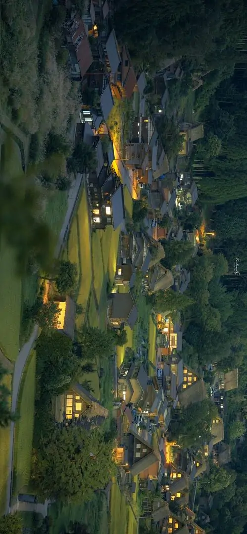 47 Hình rừng sáng nắng xiên đem lại ít răng cưa bằng mắt thường nên nhìn lá cây dày vẫn mượt và dễ chịu