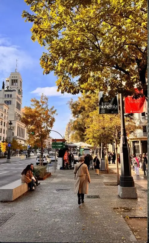 3 Góc phố ngập nắng vàng cuối chiều với hàng cây rợp bóng mang cảm xúc phóng khoáng của ảnh du lịch Tây Ban Nha