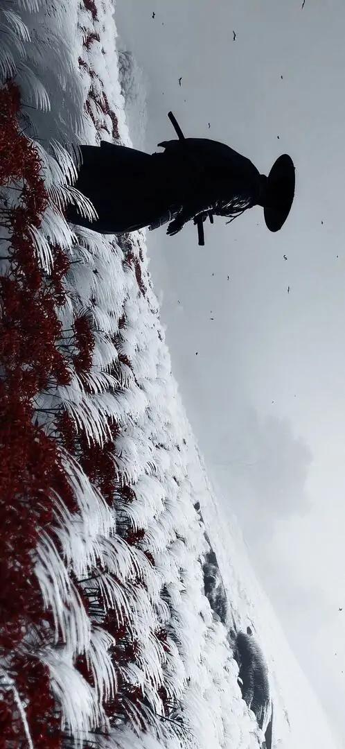 53 Ảnh nền máy tính 4K mang đến cảm giác chân thực, sắc sảo và nổi bật trên màn hình lớn