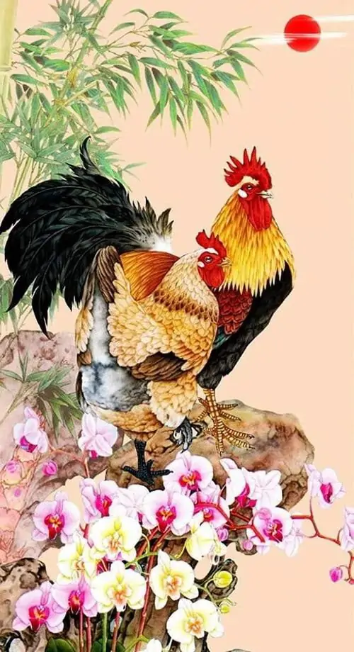 17 Ảnh bìa con gà với cặp gà trống gà mái bên hoa nở gợi sum vầy ấm no và may mắn trong gia đạo