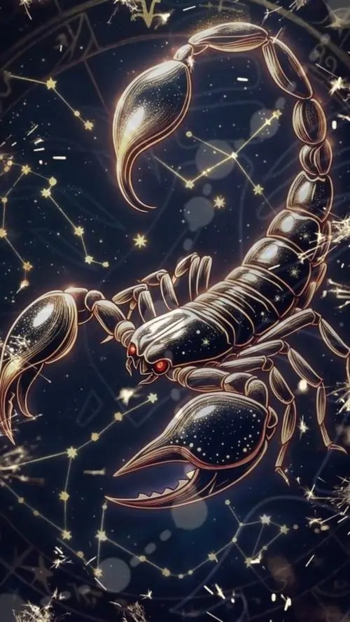 34 Hình nền 4K Hổ Cáp khai thác bảng màu tối sang với tím mận và đen khói phù hợp người mê vẻ đẹp bí ẩn không phô bày