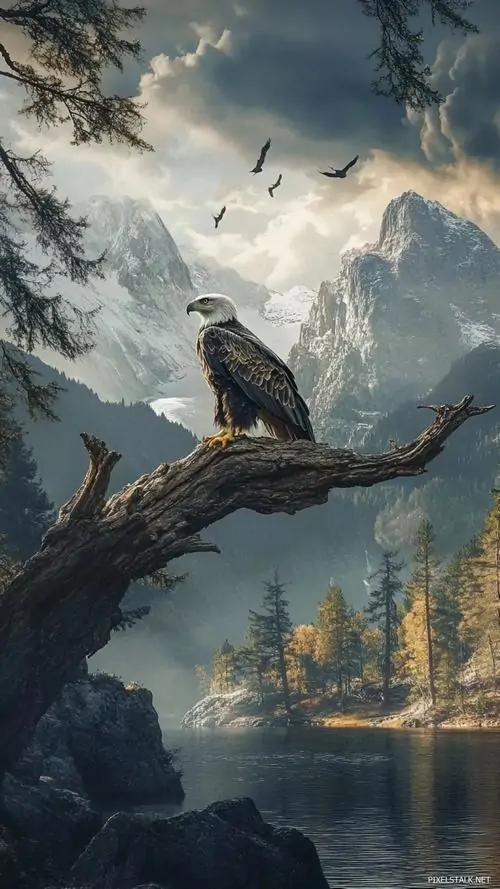 18 Một ảnh nền đại bàng siêu nét đặt con chim đen trên nhánh gãy nhìn xuống mặt hồ xám, trời giông và núi xa siết chặt không khí, minh họa Nhật làm nổi vẻ quan sát nhạy bén và sự tự chủ của kẻ săn mồi cô độc