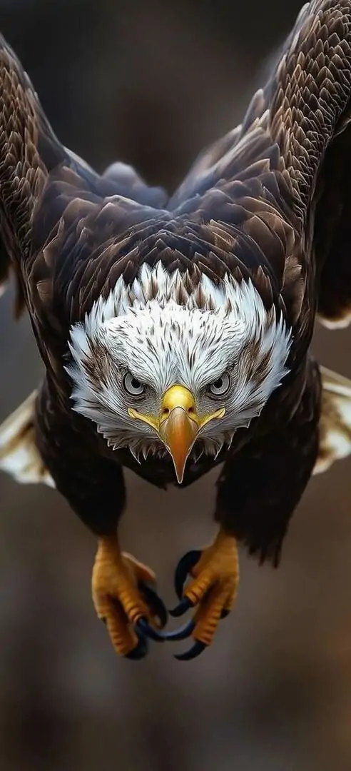 32 Bầu trời cao và mây trắng làm nền cho đại bàng nghiêng cánh, ánh sáng xiên lướt dọc thân tạo độ nét cao rất đã mắt, kiểu manga giữ khung hình thoáng nhưng vẫn nén chặt cảm giác săn mồi đầy sức ép