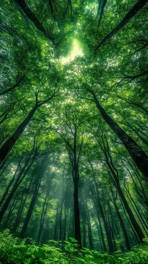 4 Hình nền hợp mệnh Đại Lâm Mộc từ thiên nhiên xanh mướt đến dòng nước tương sinh