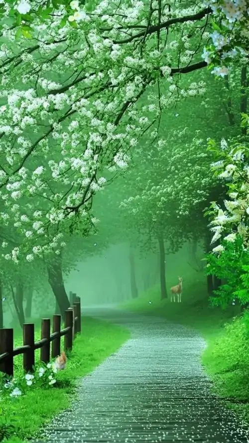 19 Ảnh nền phong thủy hành Mộc với gam xanh ngọc, xanh dương và chiều sâu rừng rất cuốn mắt