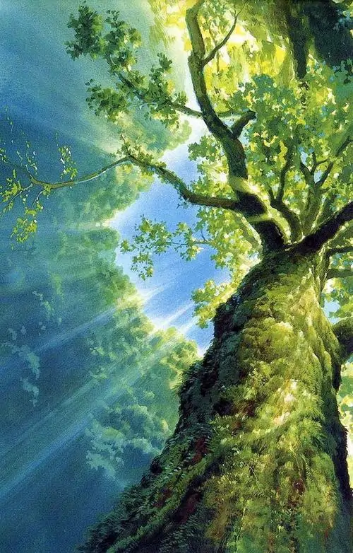 20 Nền điện thoại Đại Lâm Mộc hợp người cần sự ổn định, cảm hứng phát triển và cảm giác được chở che