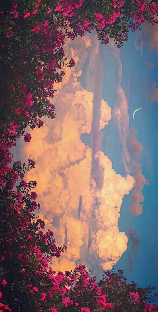 124 Hình nền đẹp cho laptop gợi núi đồi mờ sương trải dài phía xa làm màn hình rộng thêm sâu và có nét thư thái riêng