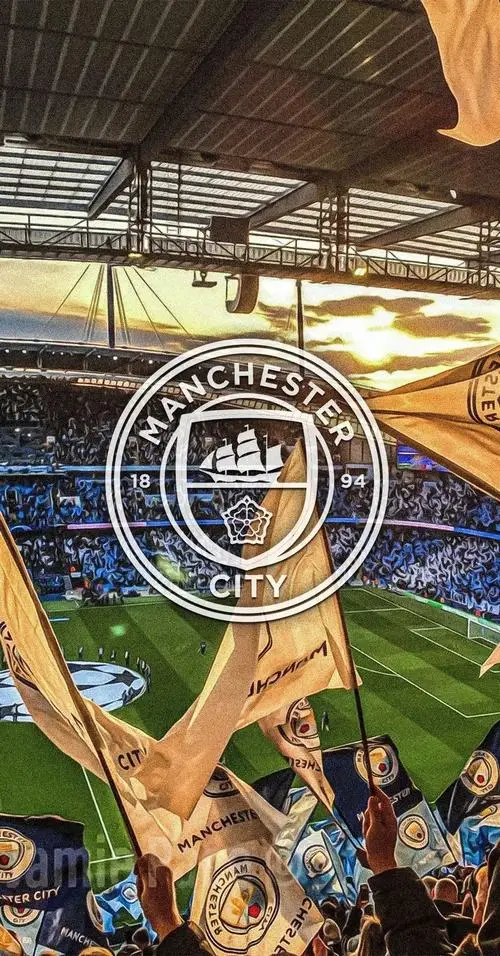 3 Đẹp full HD phù hiệu Manchester City trên nền sáng làm nổi bật hoa hồng đỏ và giữ bố cục cân đối