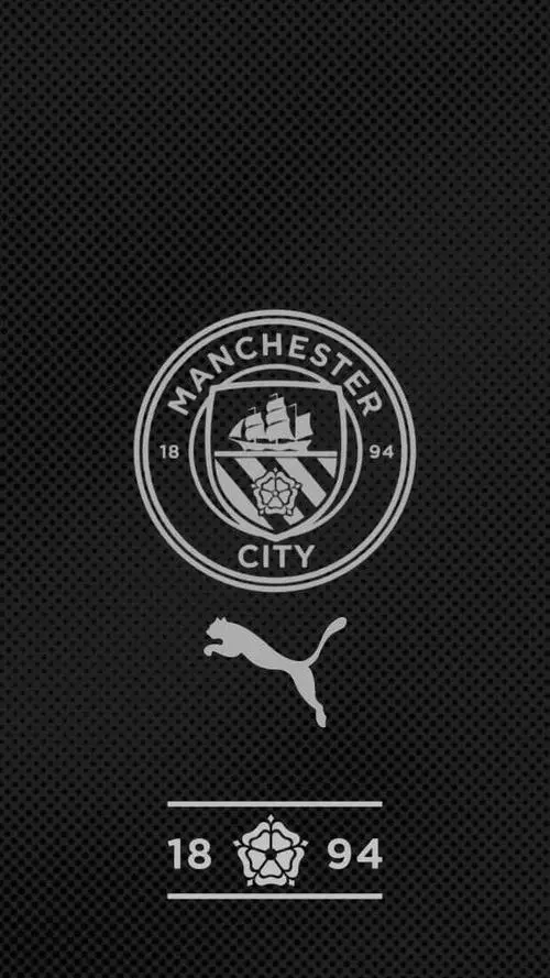 31 Hình nền đt logo Man City dùng nền trắng xám làm rõ tấm khiên trung tâm và vẻ hiện đại bền vững