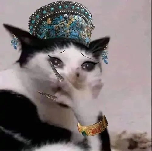 41 Avatar cá nhân mèo trắng đeo món trang sức đầu cầu kỳ, ánh mắt buồn như vừa bị dựng lên làm quý phi bất đắc dĩ, thích hợp cho người muốn ảnh đại diện khác biệt mà vẫn giữ chất mềm và hơi lạ