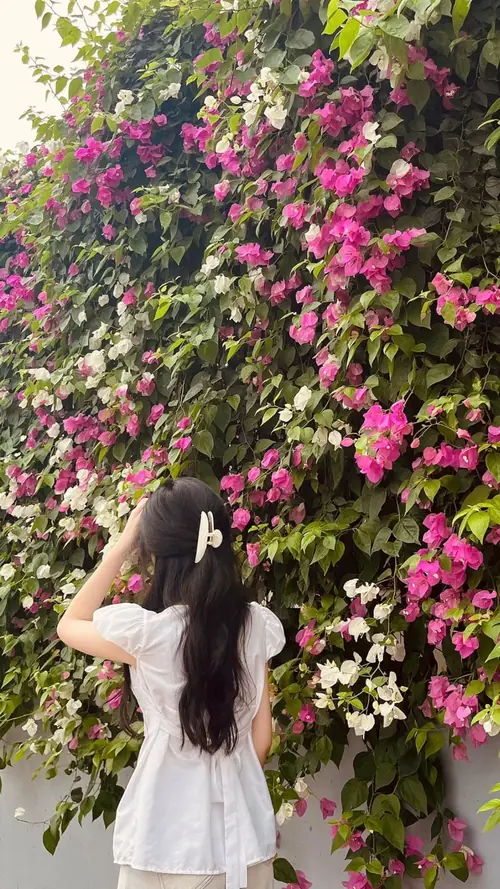 1 Cô gái quay lưng dưới giàn hoa hồng, váy trắng nhẹ và tóc dài che kín mặt