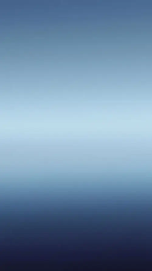 64 63
