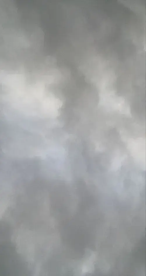 56 55