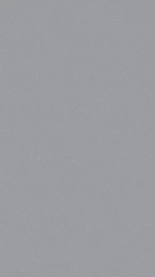 50 49